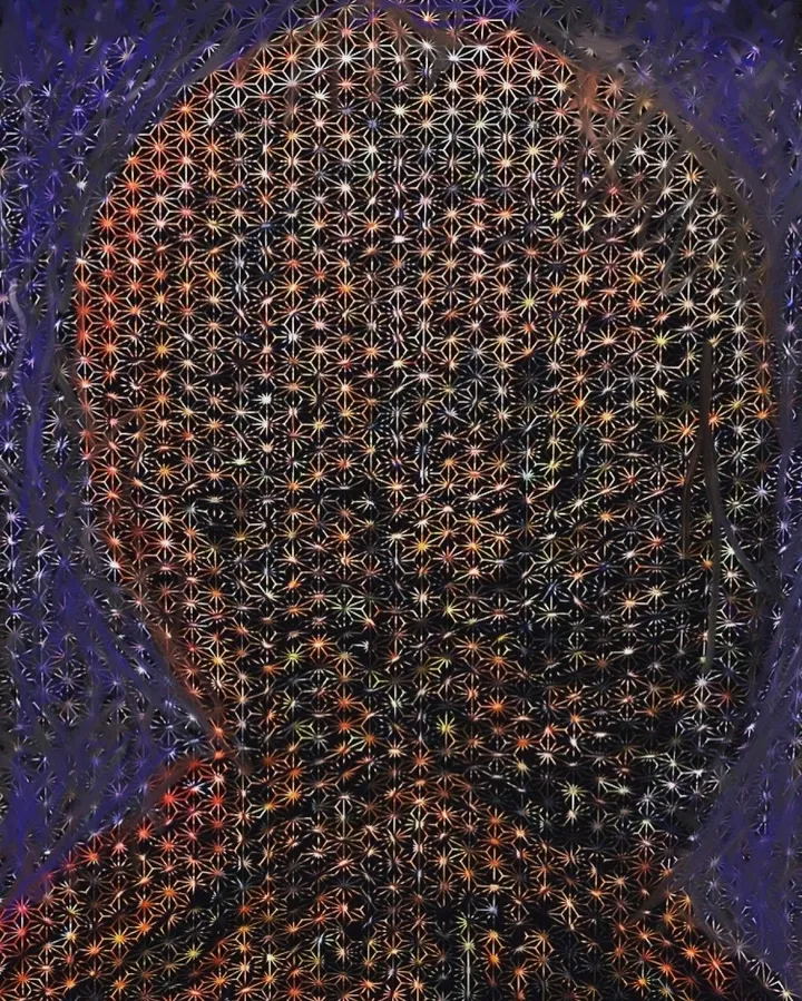 head 496, œuvre de Fausto Cantu