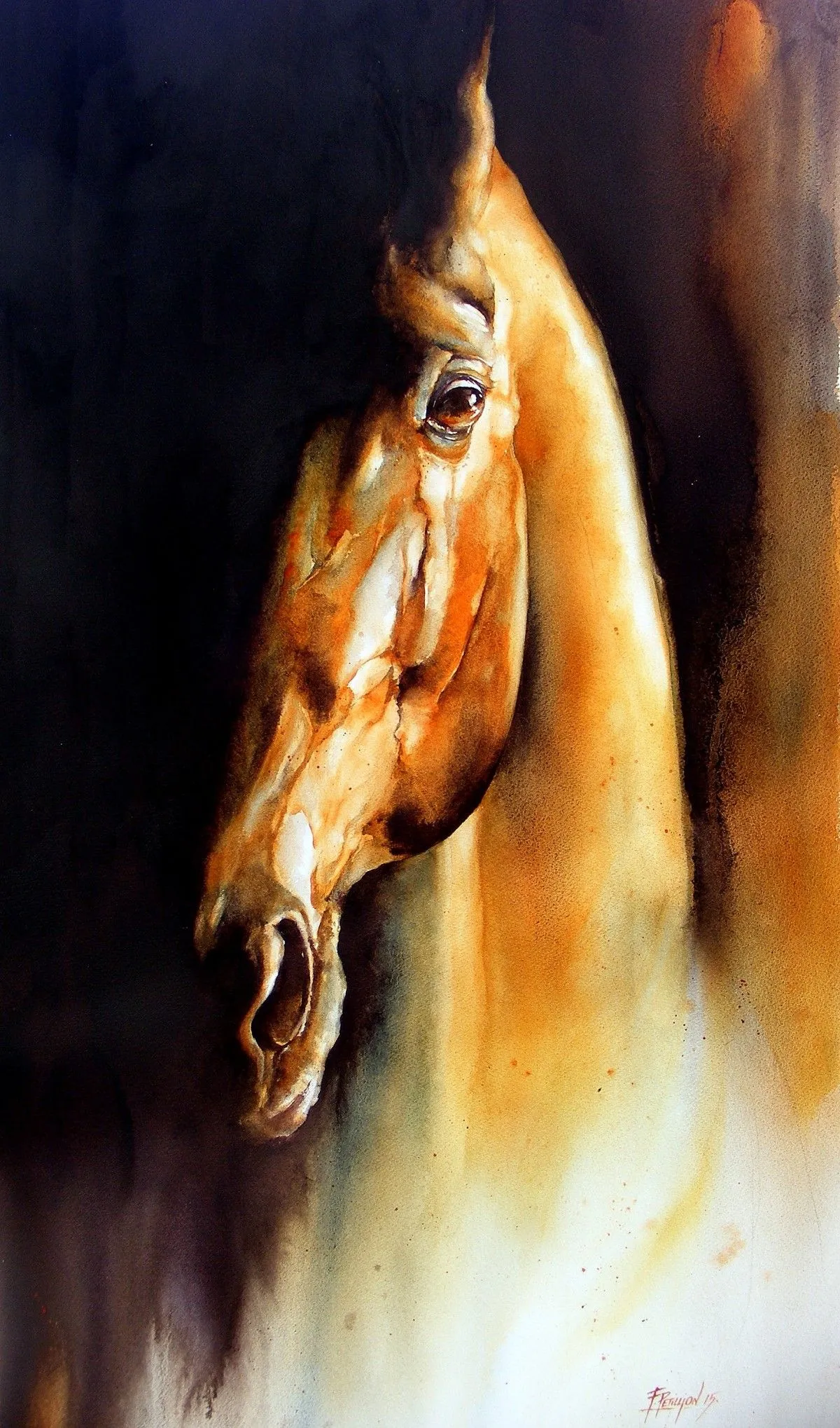 Méfiance, œuvre de fabien Petillion