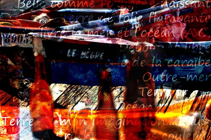 Le Nègre(Fondamental), œuvre de Corine Fontaine
