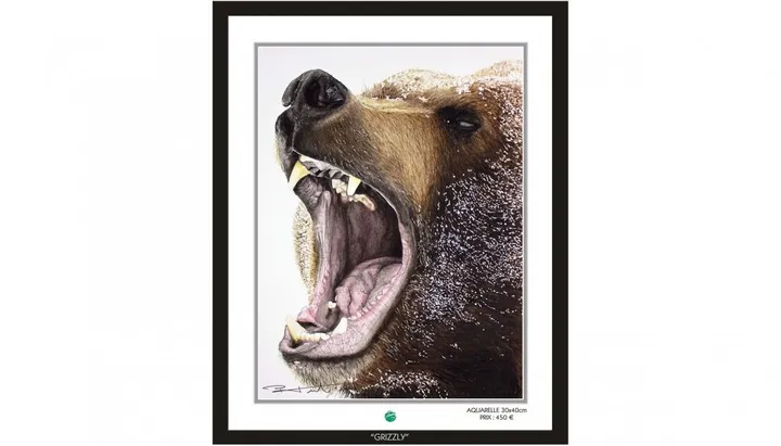 "Grizzly", œuvre de Pierre Frutschi
