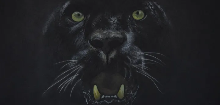 PANTERA, artwork by Sebasfixiarte Vélez Baena