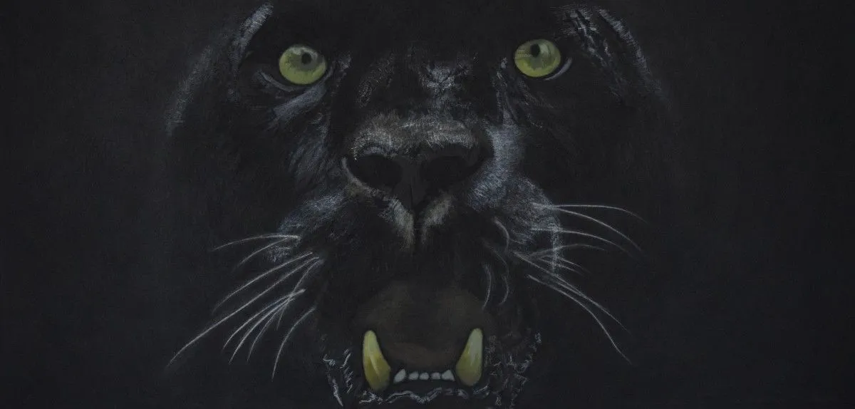 PANTERA, artwork by Sebasfixiarte Vélez Baena