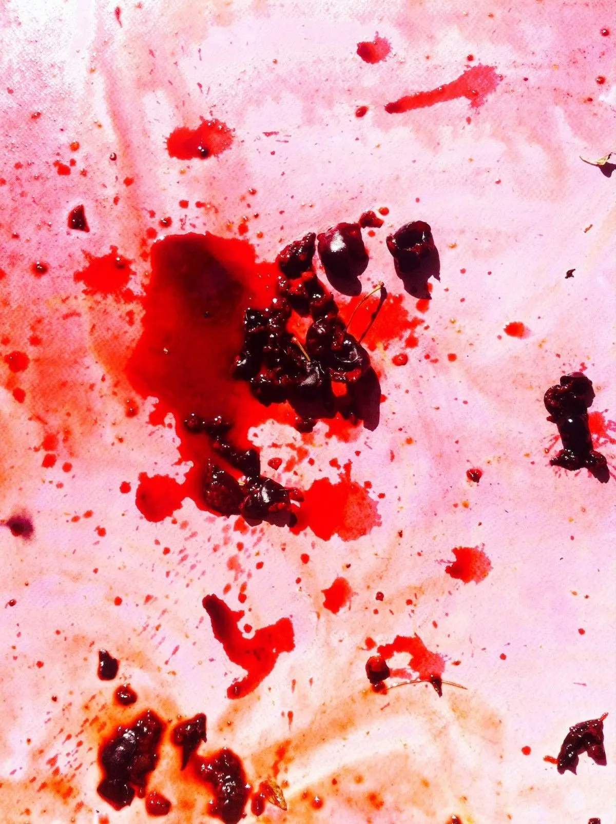 cherry murder, œuvre de Sophie Caceres Kipfer