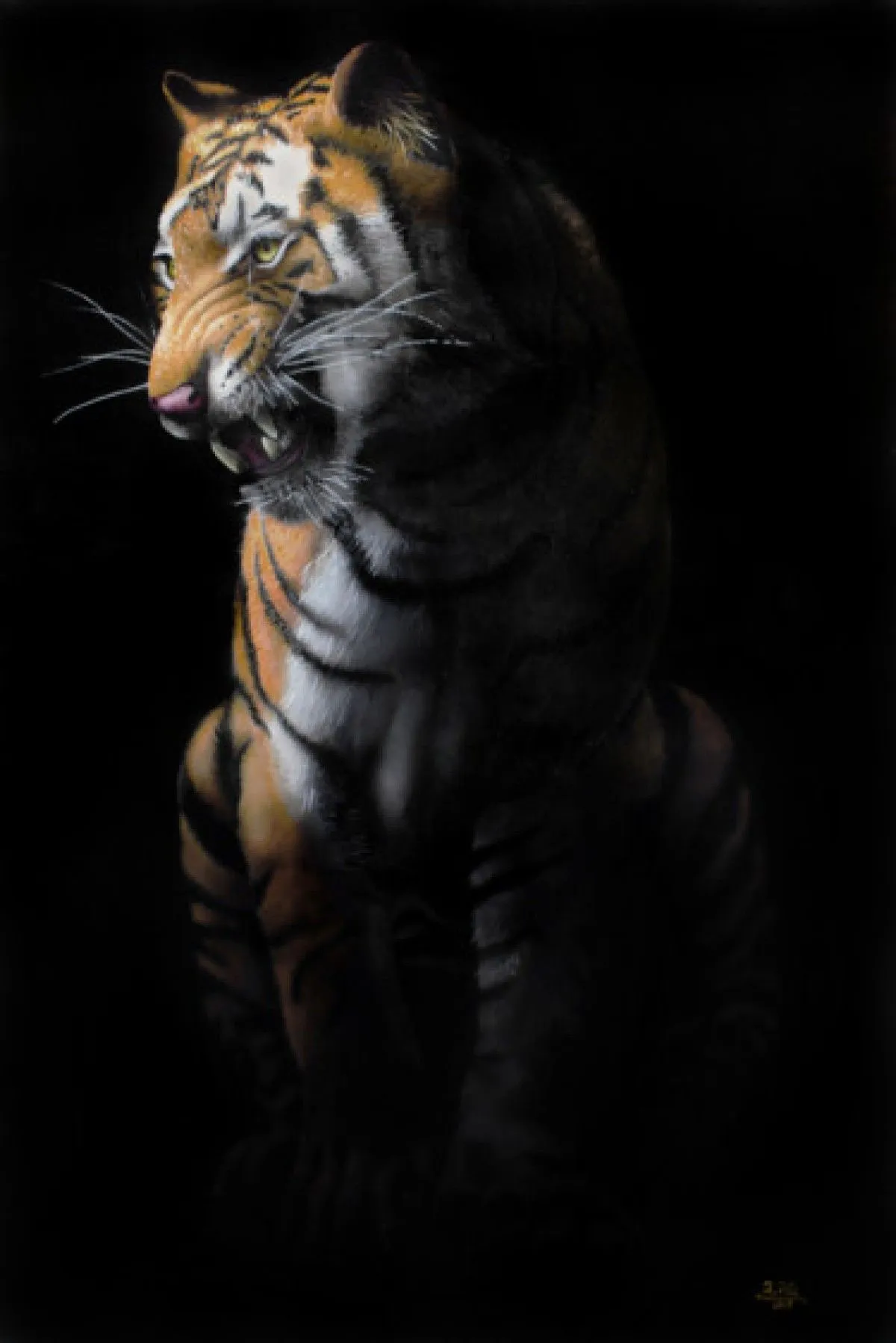 Tiger in the dark, œuvre de Ivan Pili
