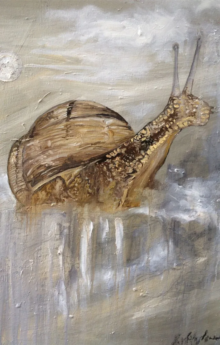 Snail trail, œuvre de Grant Netherlands