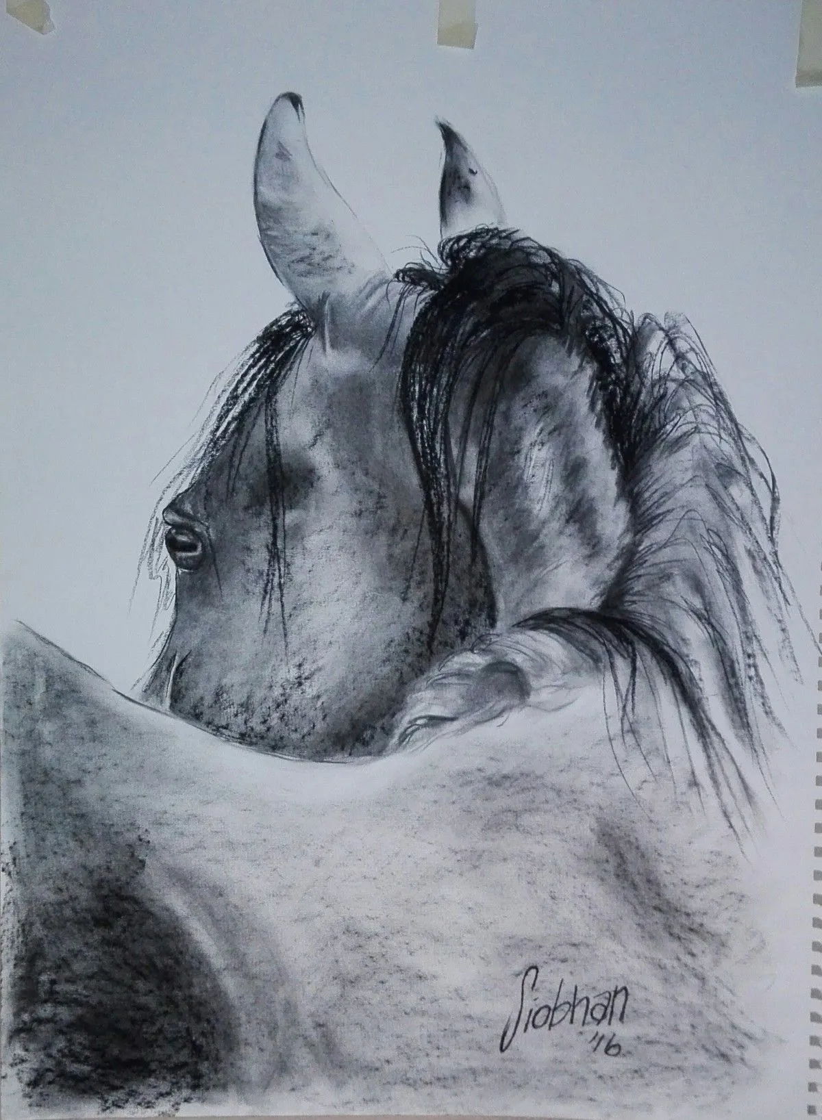 FreeSpirit, œuvre de Siobhan Van der linde