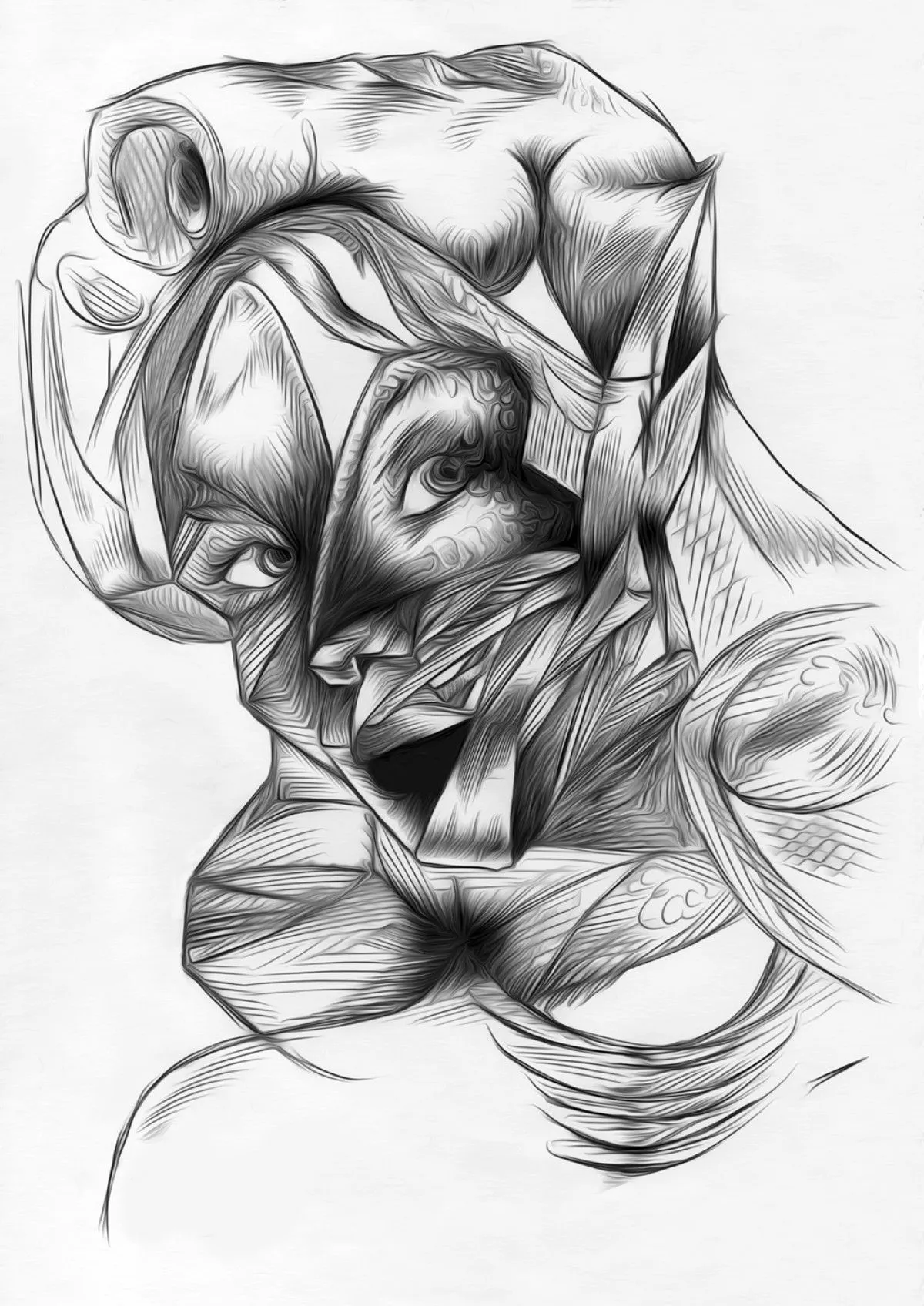 =, œuvre de Laura H