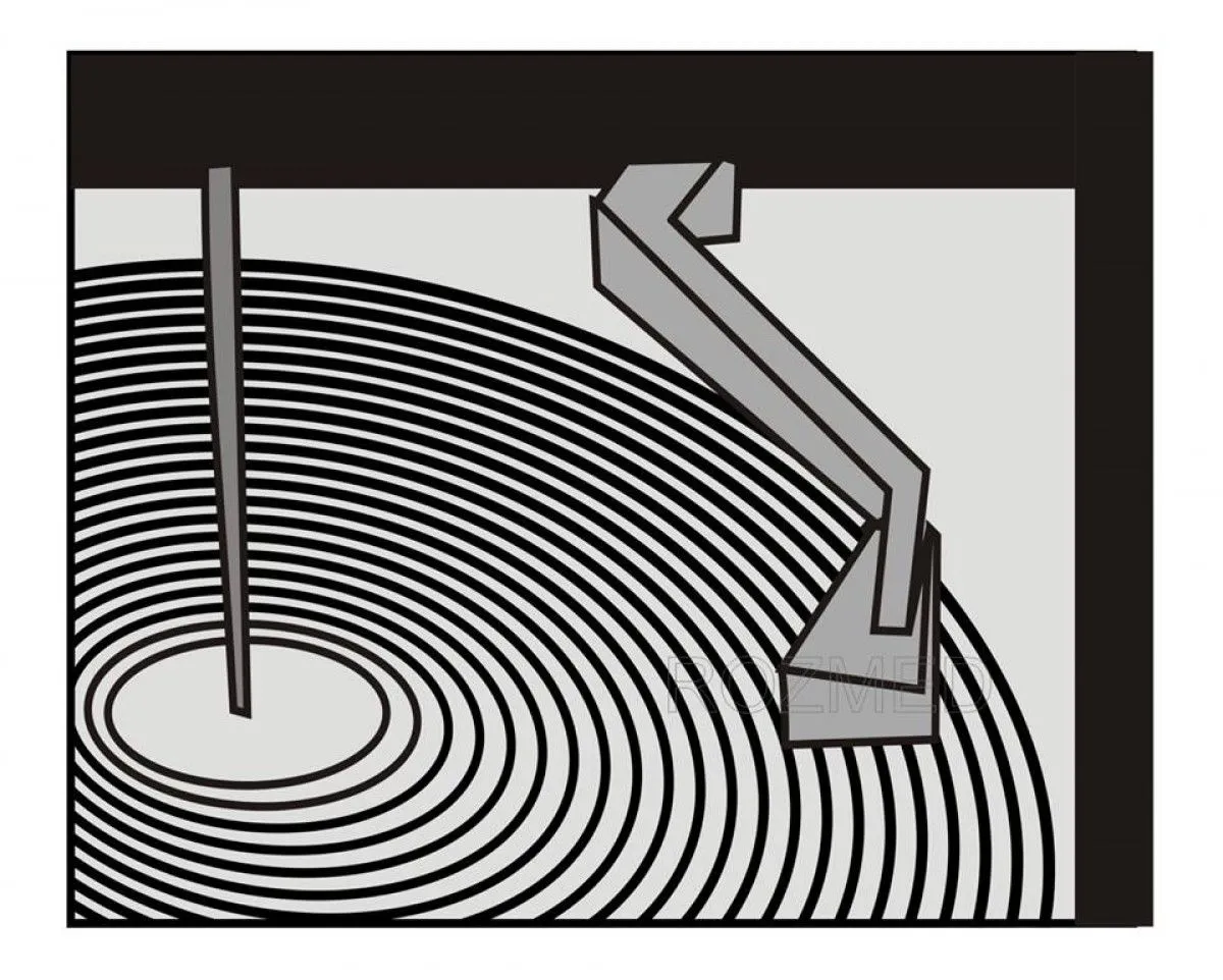 DISCO VINIL, œuvre de Rozélia Medeiros