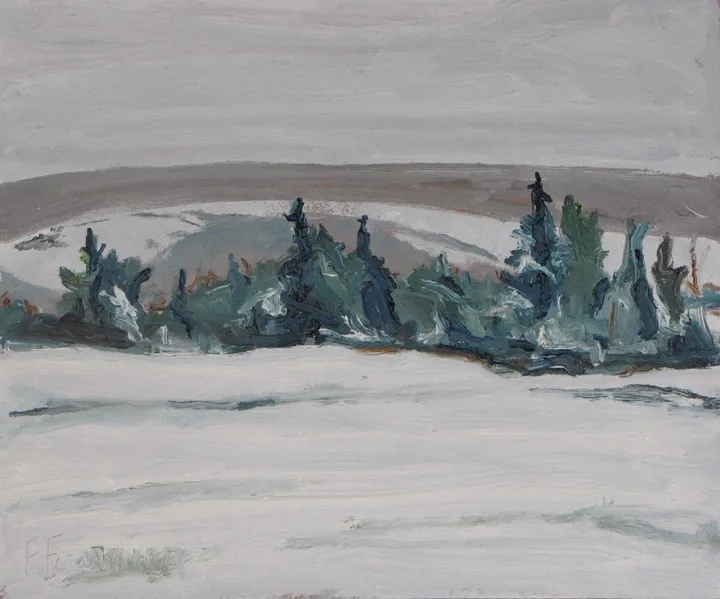 The Snowy Field, œuvre de Francois Fournier