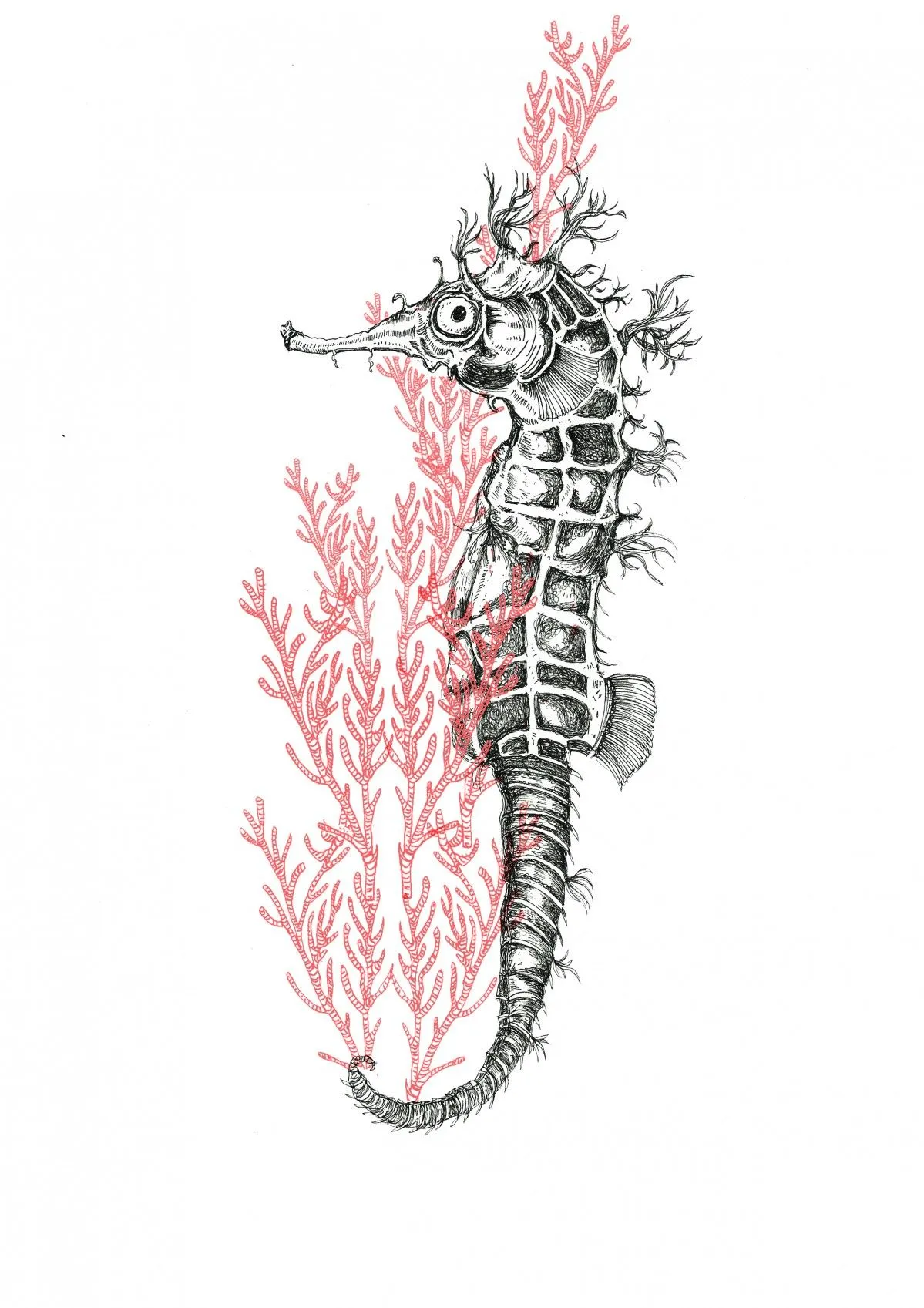 Sea stallion, œuvre de Nastasha Minyon Sale