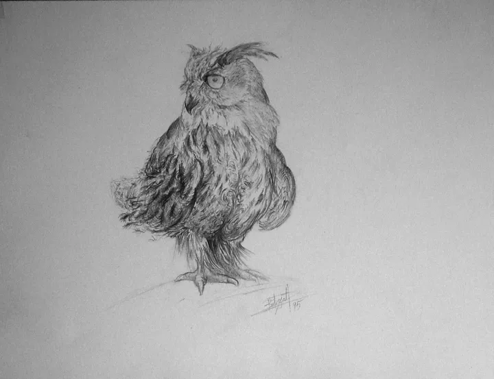 The confident owl, artwork by Dragos Botezat