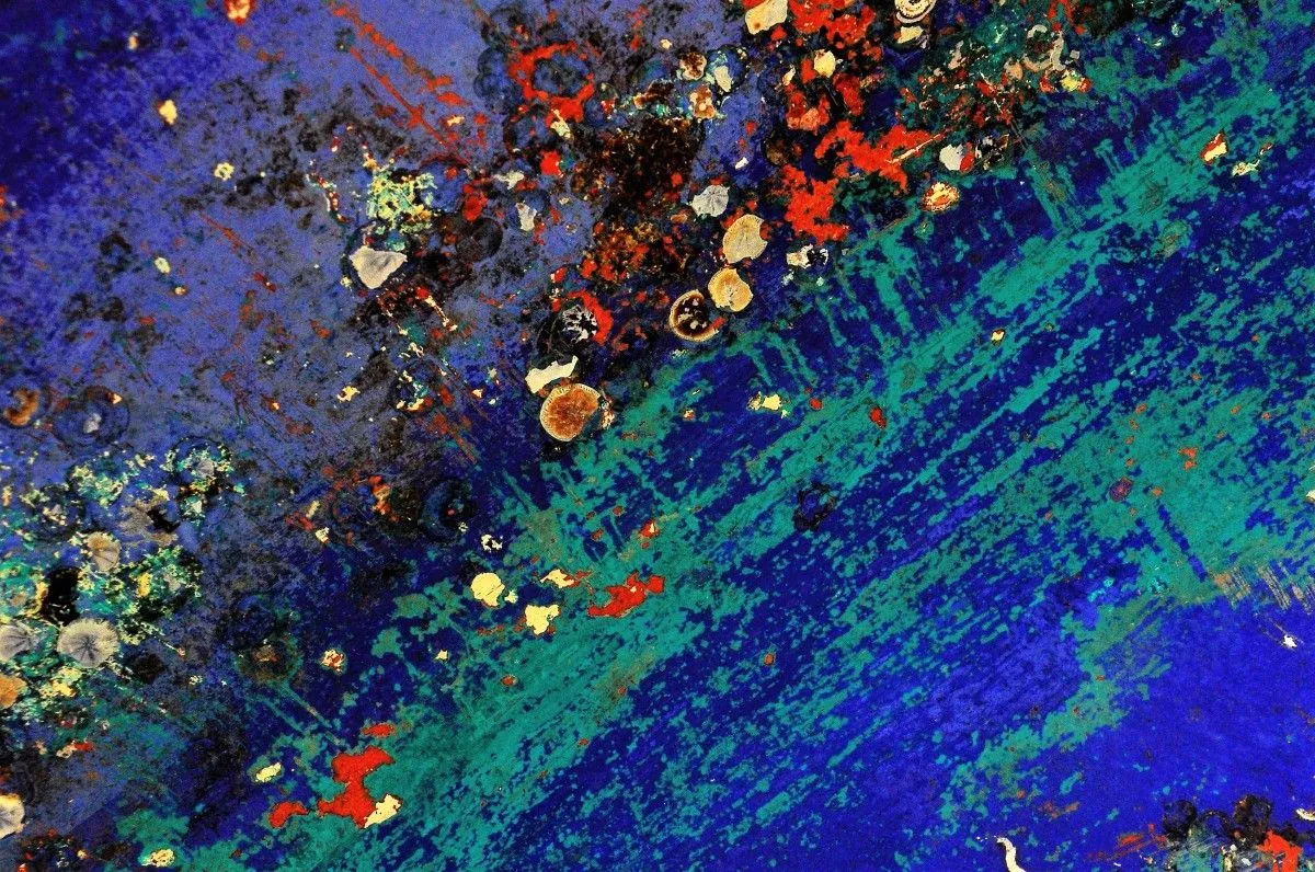 Sublimation, œuvre de Eléonore della Faille