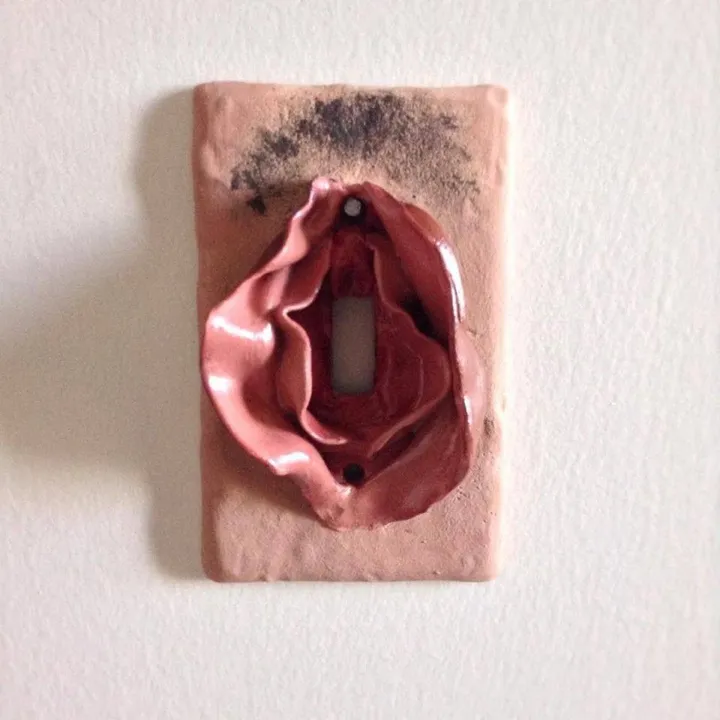 CUSTOM ORDER - Vagina light switch cover, artwork by Yuduki Joestar
