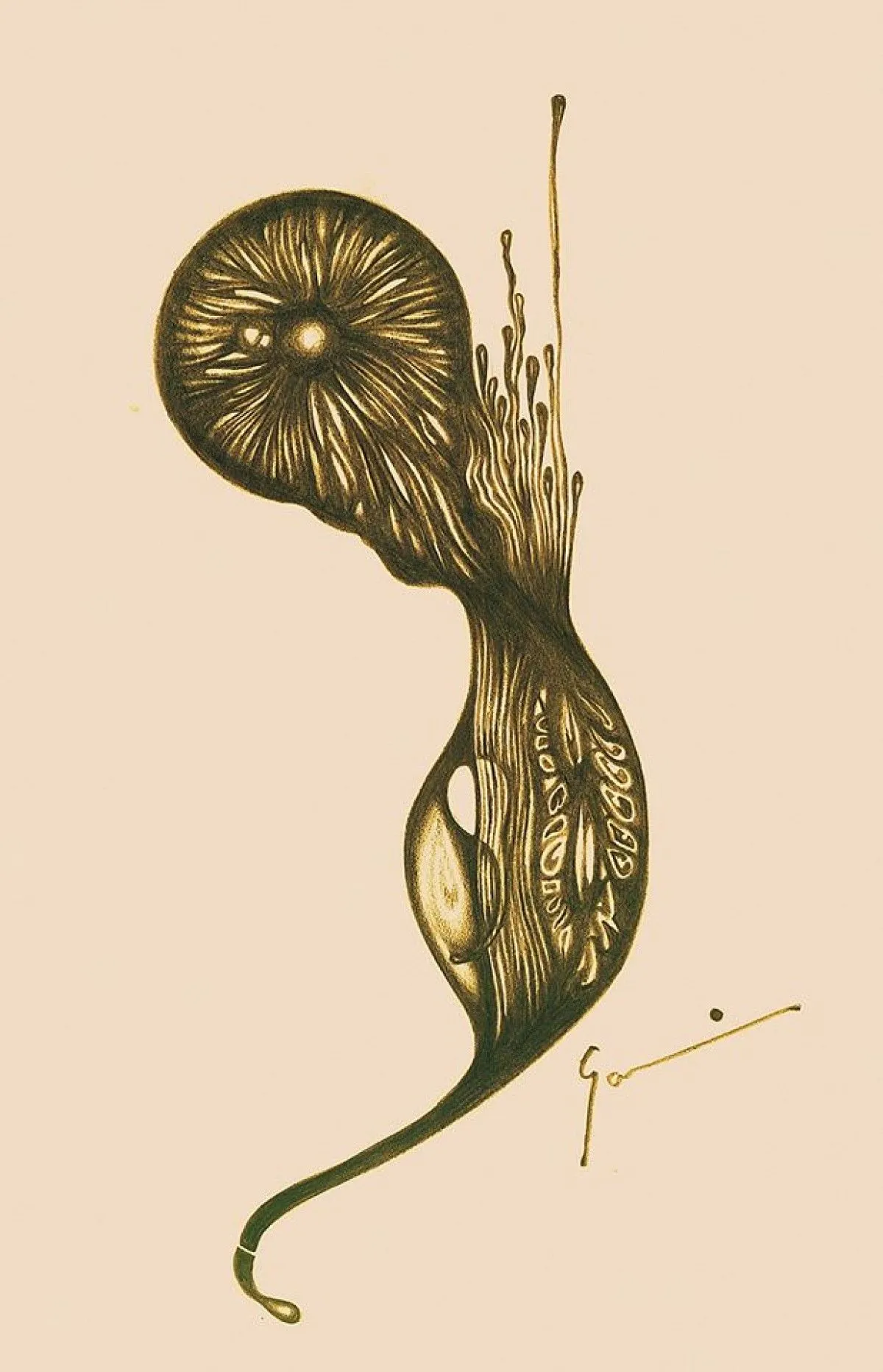 Pregnant Embrio, artwork by Garima Necrotic