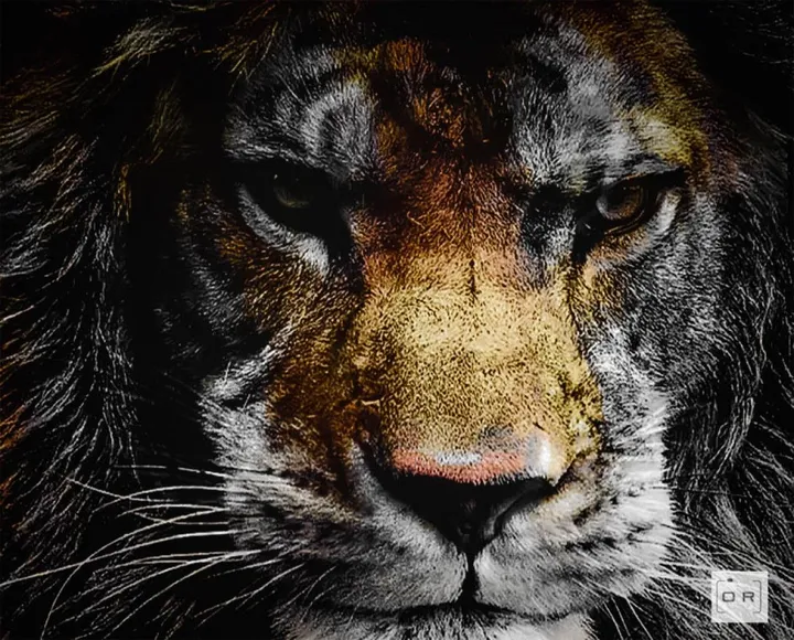 Tiglion, artwork by Rai Robyr Flohr
