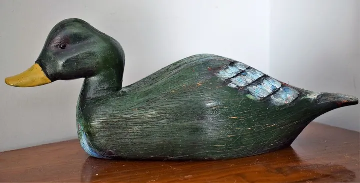Canard / Duck, artwork by Denis Roucau