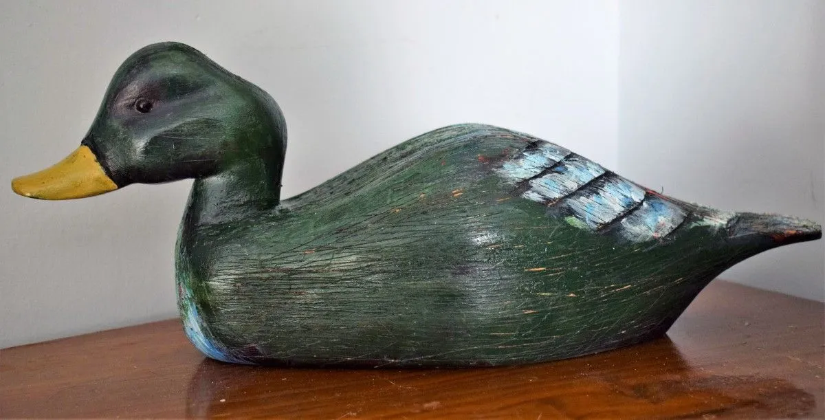 Canard / Duck, artwork by Denis Roucau