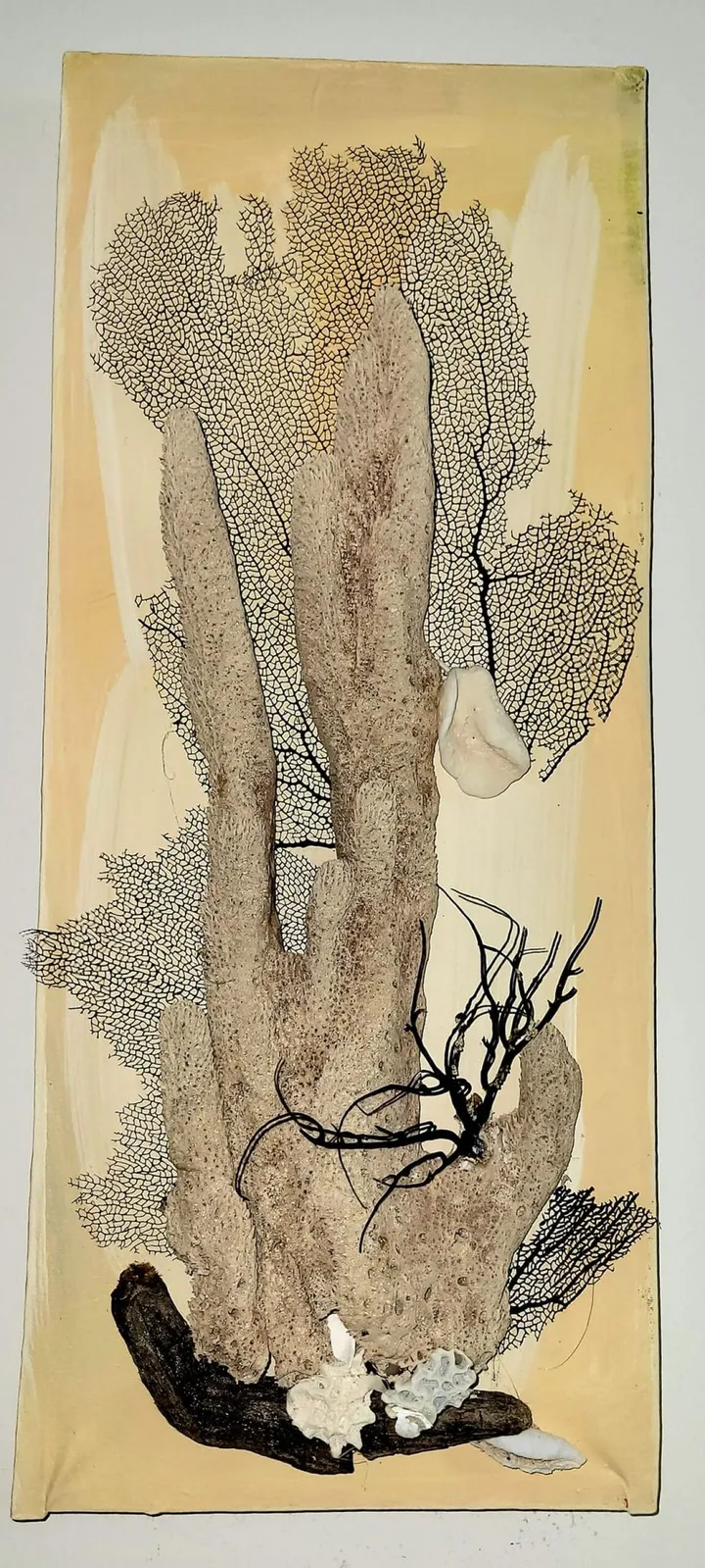Coralis, artwork by Celine Verot