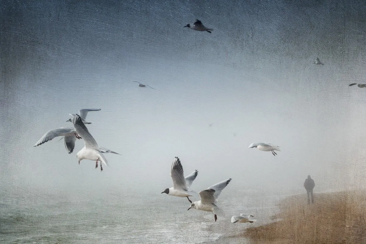 Wherever you go., œuvre de Valeriy Bekeshko