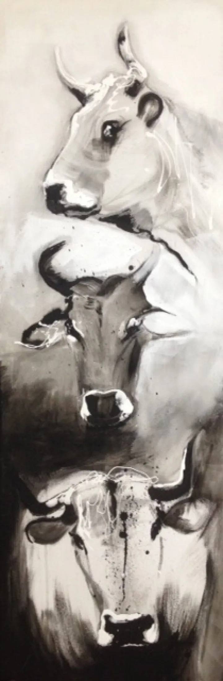 portraits de vache, artwork by Nadine Gauthier