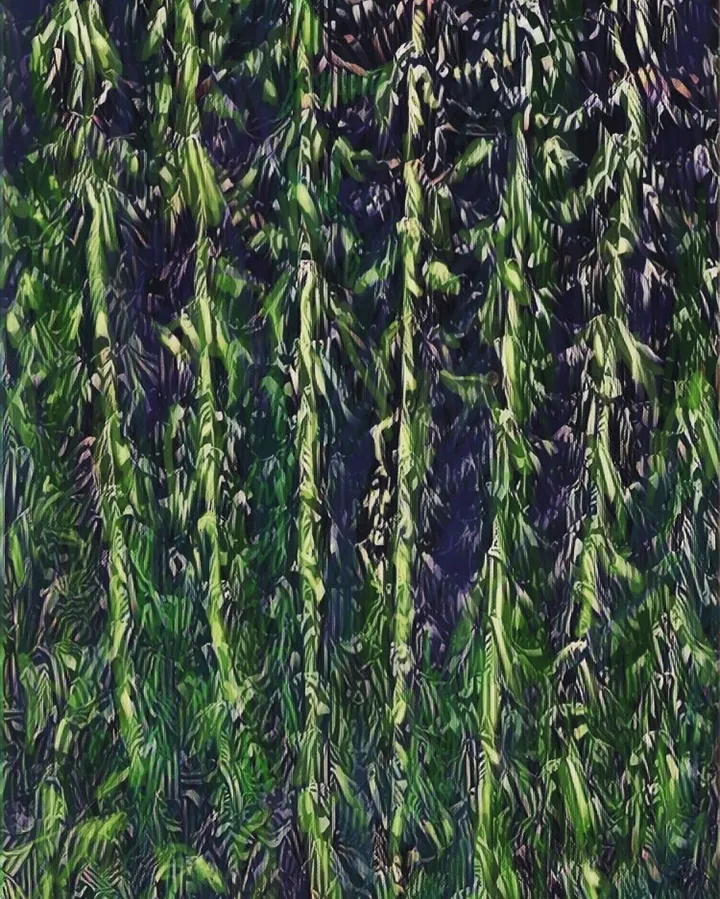 corn 507, œuvre de Fausto Cantu