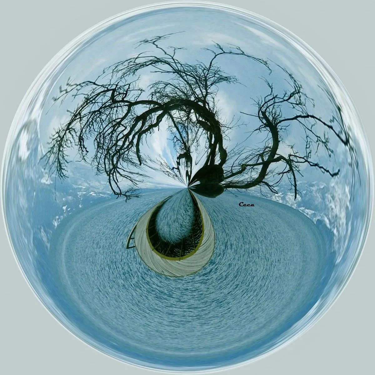 Tree of life, artwork by Svetlana Krsteska