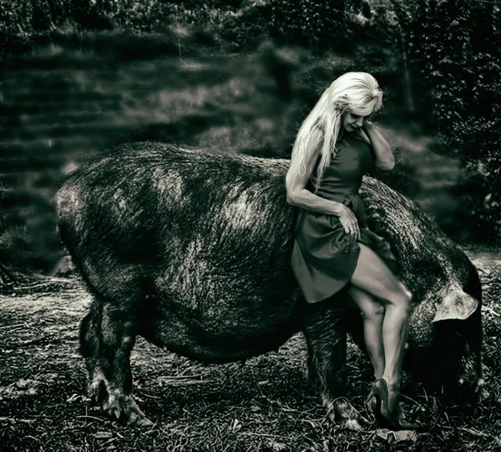 lady and pig, artwork by Cornel Gingarasu