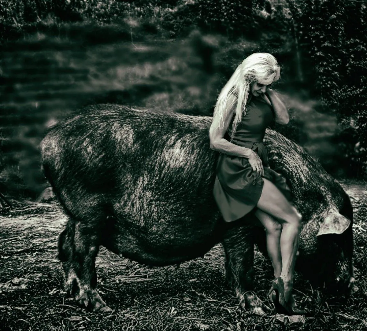 lady and pig, artwork by Cornel Gingarasu