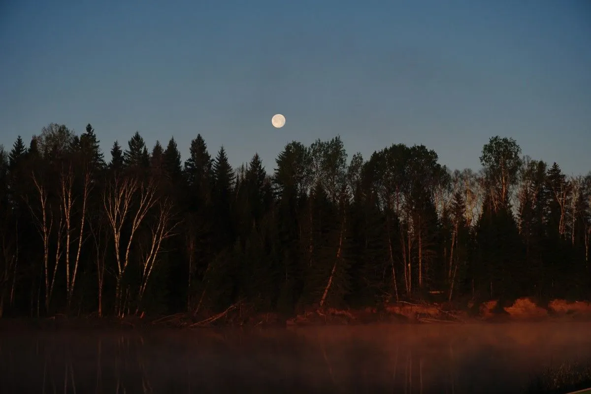 Sun chasing the moon, artwork by Jessy Desjardins