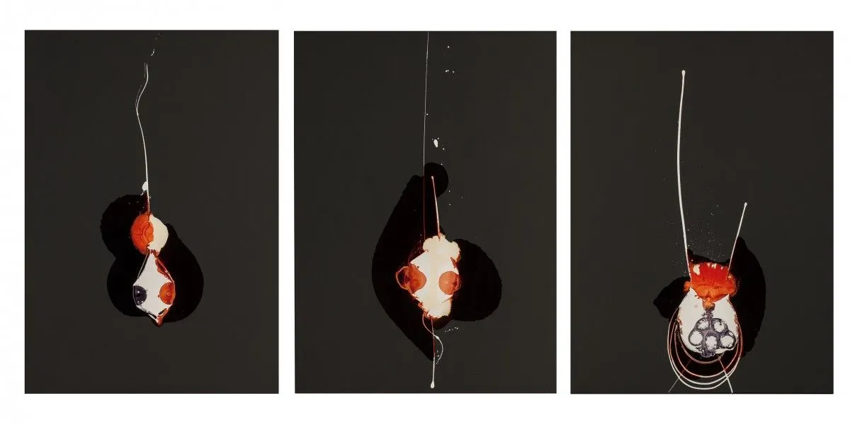 "JELLY FISH", artwork by MARIO FOIS
