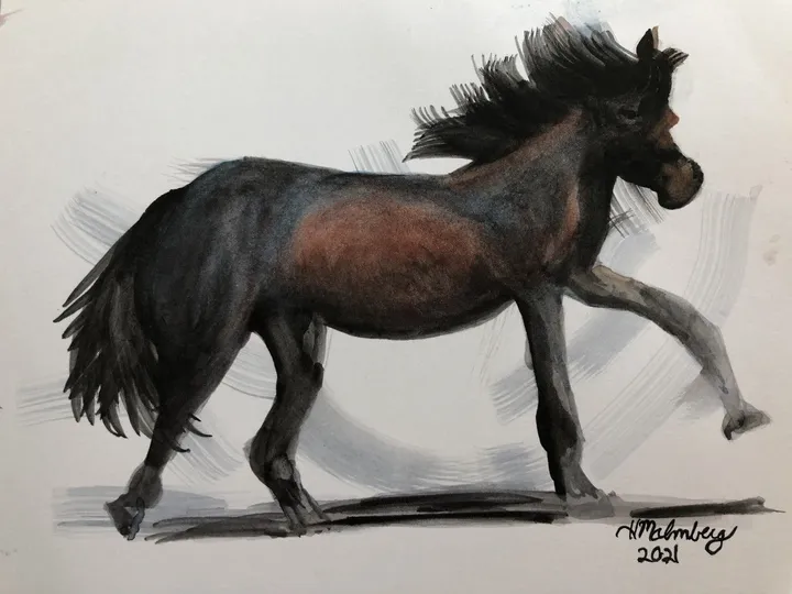 Horse in Motion, artwork by Pete Malmberg