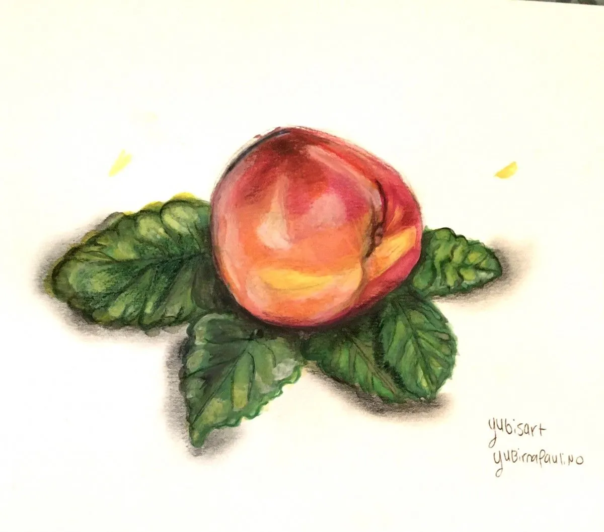 color pencil peach artwork, œuvre de yubirna paulino