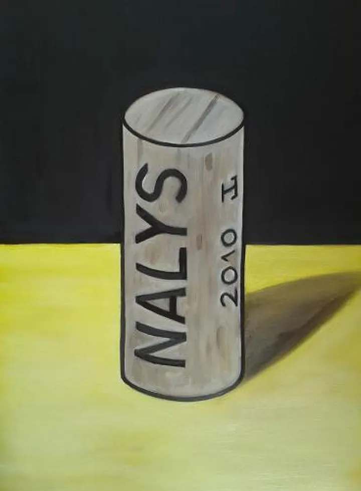 Portrait de Bouchon - Nalys, œuvre de Pixtabxl Station