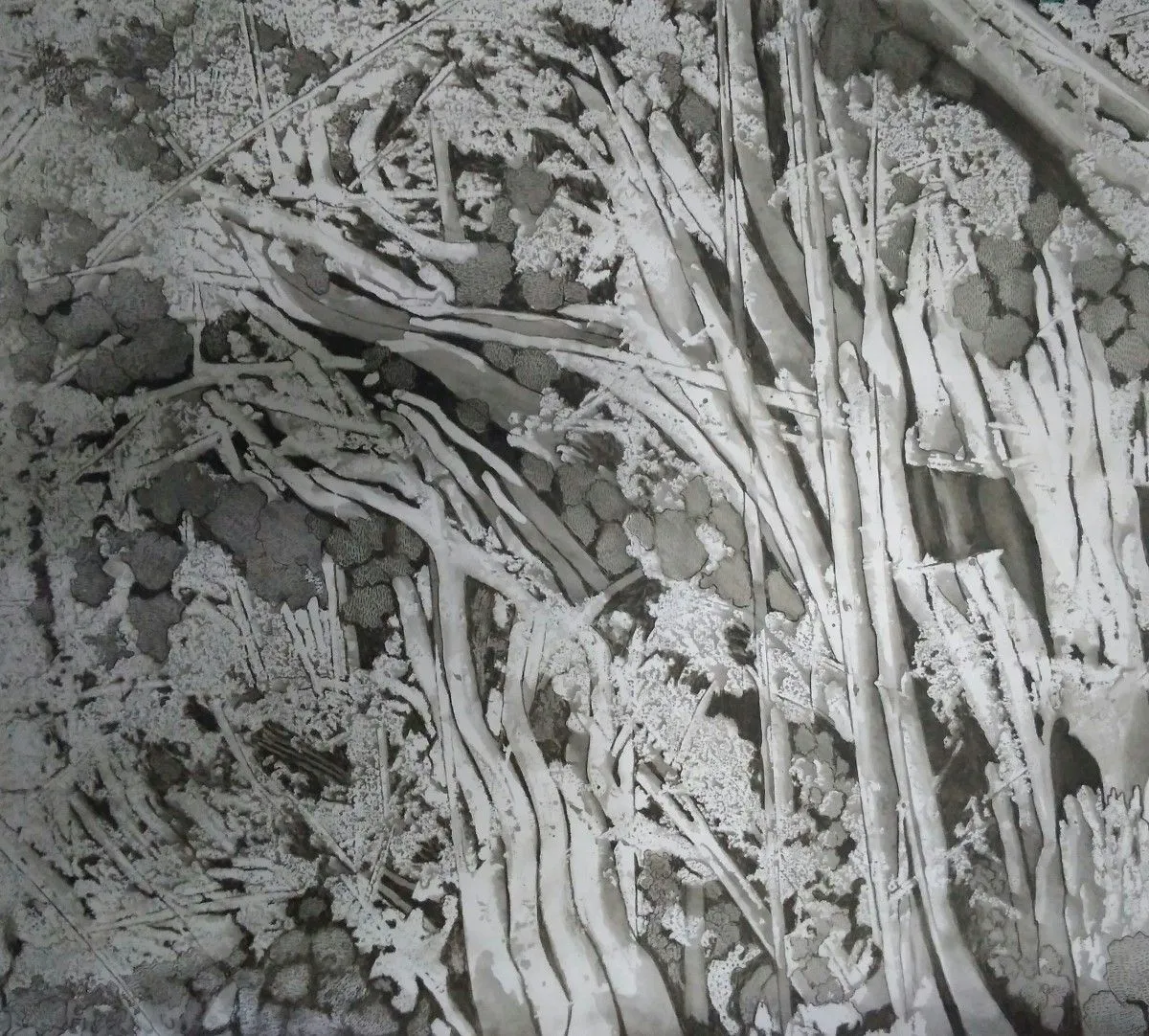 Untitled, œuvre de Vinod Kumar
