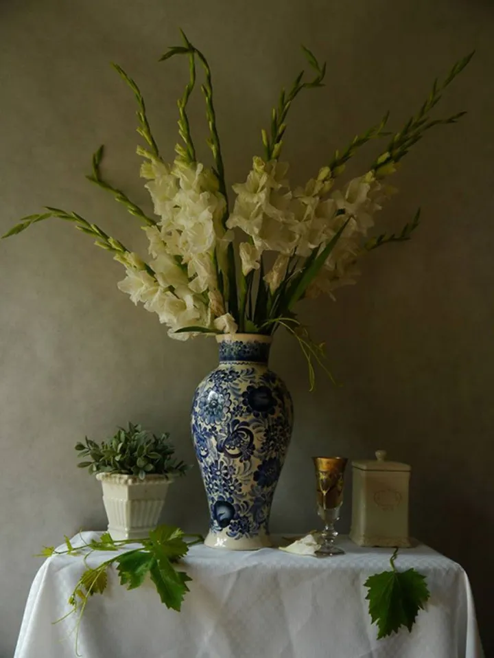 Still life with white Gladiolas, œuvre de Claudia Stanetti
