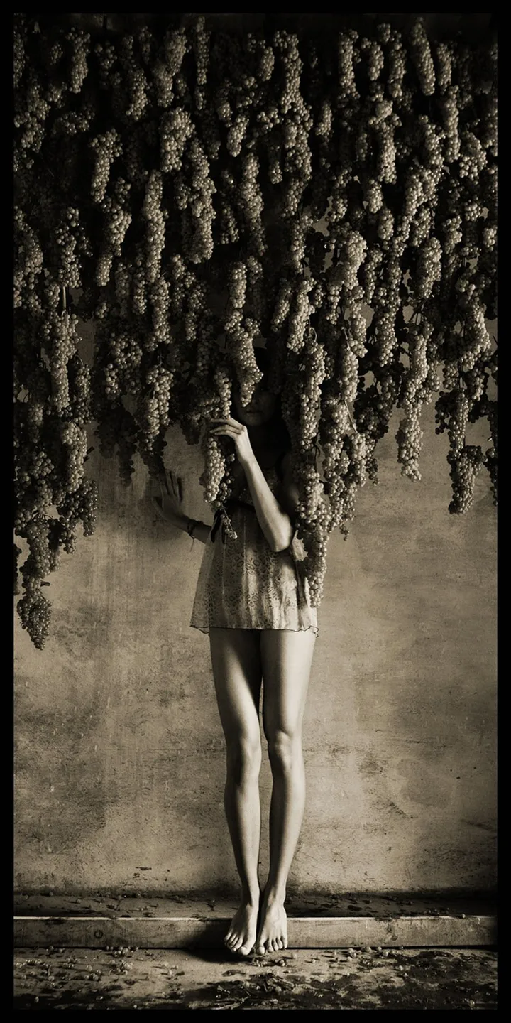 Legs under Grapes., œuvre de Vlad Loktev