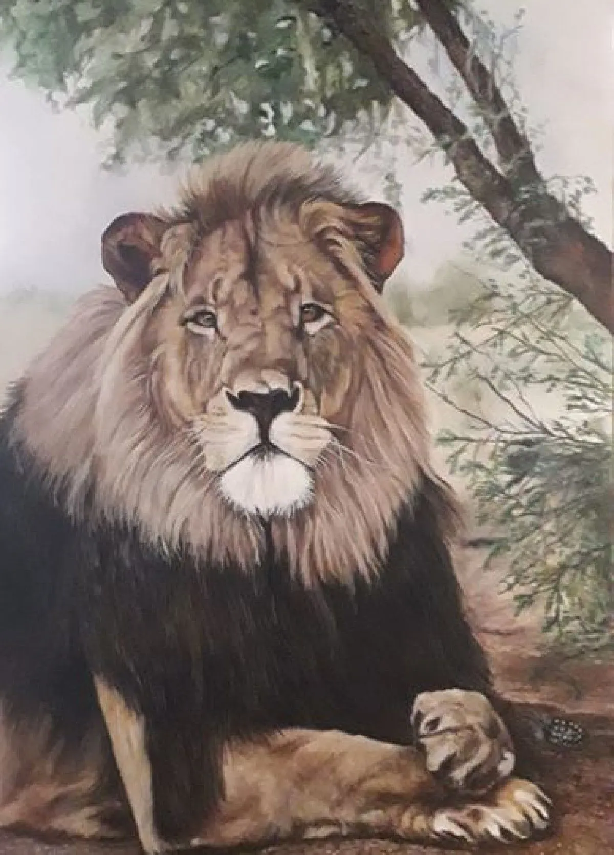 Lion watching, artwork by jaotto Cronje