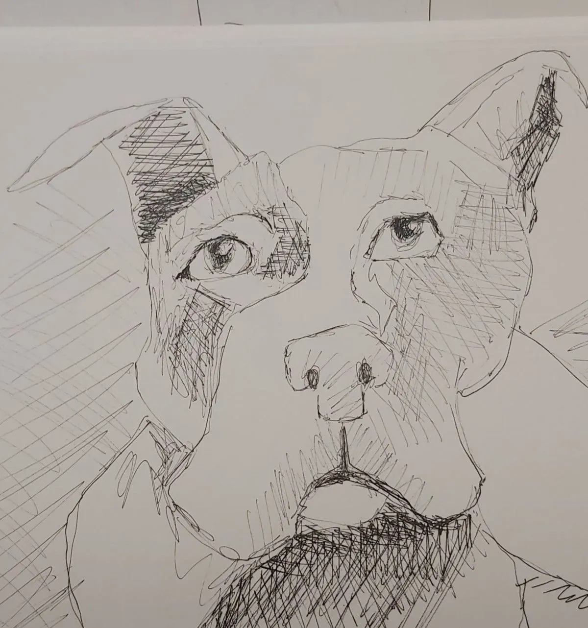 Soul dog, œuvre de James Alexander