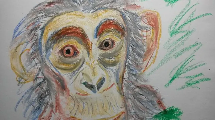 Monkey 1, œuvre de Fred Touraine