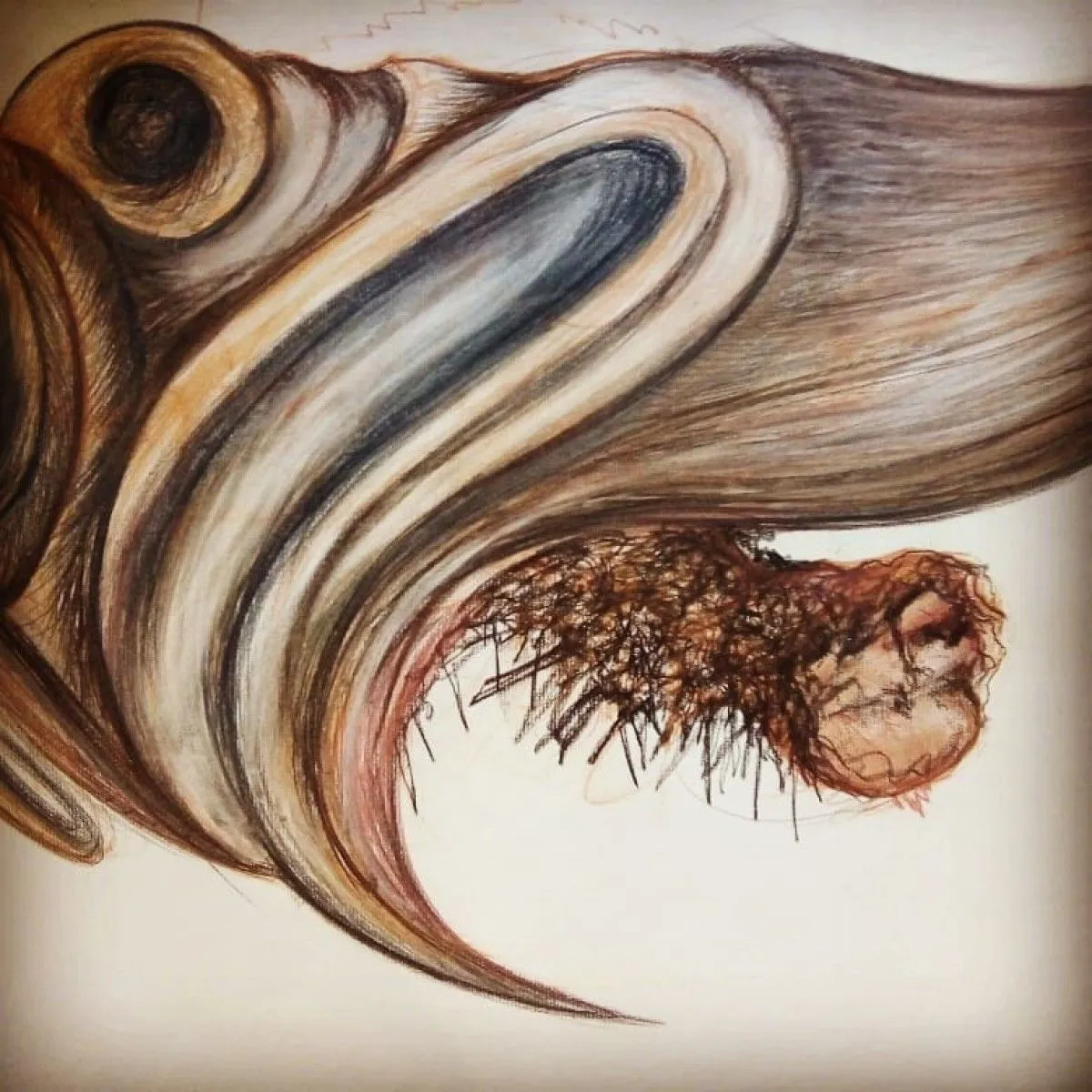 Vidas del pochote, œuvre de RODRIGO SALTIJERAL