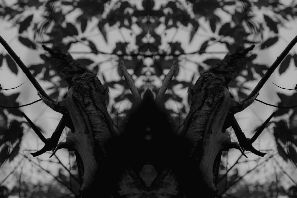 Reflect, œuvre de Gaia Frola