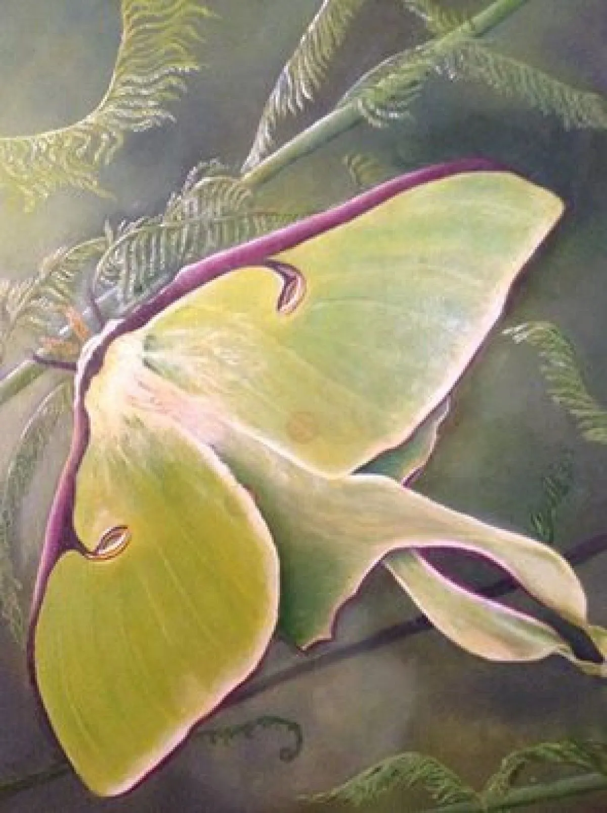 Papillon de nuit, artwork by Karo Massie