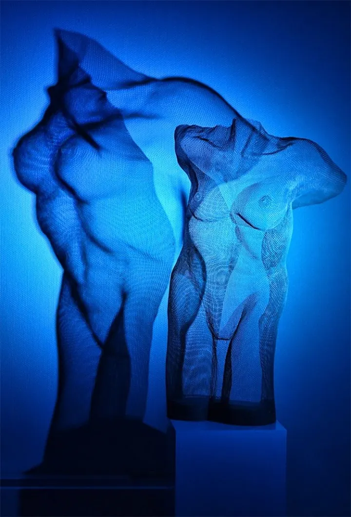 Gauze Torso Female, artwork by Jan Donders
