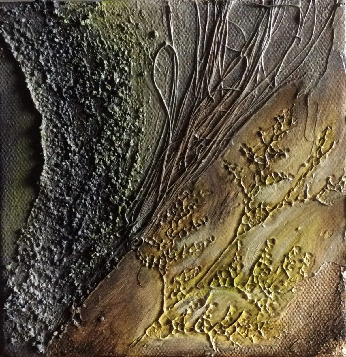 Fossilisante, artwork by Anne-Line Schoovaerts