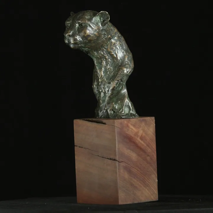 Cheetah Bust, œuvre de Willem Botha