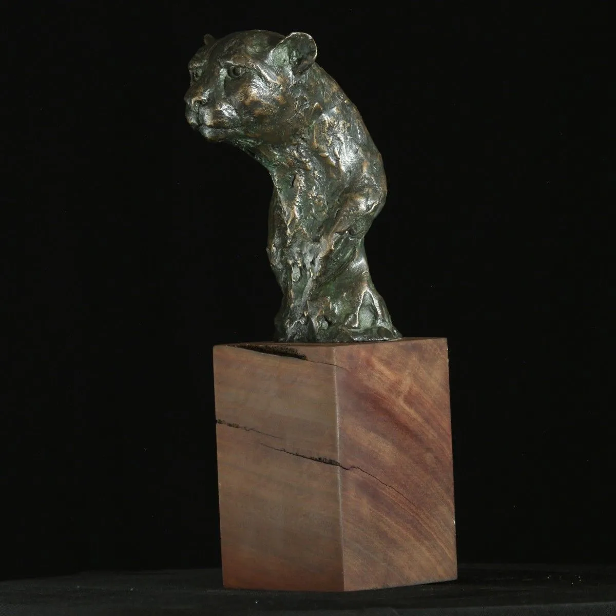 Cheetah Bust, œuvre de Willem Botha