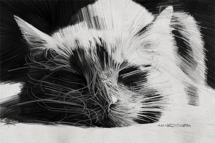 Charcoal and Chalk on brown paper, œuvre de Manuel D'oliveira