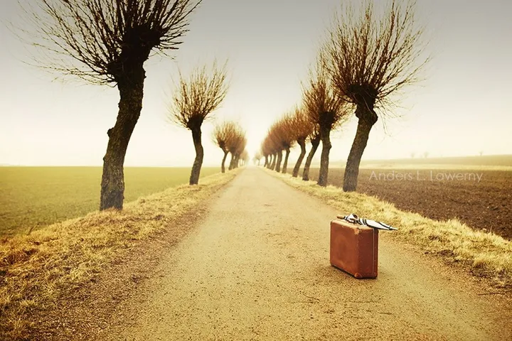 Bon voyage, œuvre de Anders Lawerny