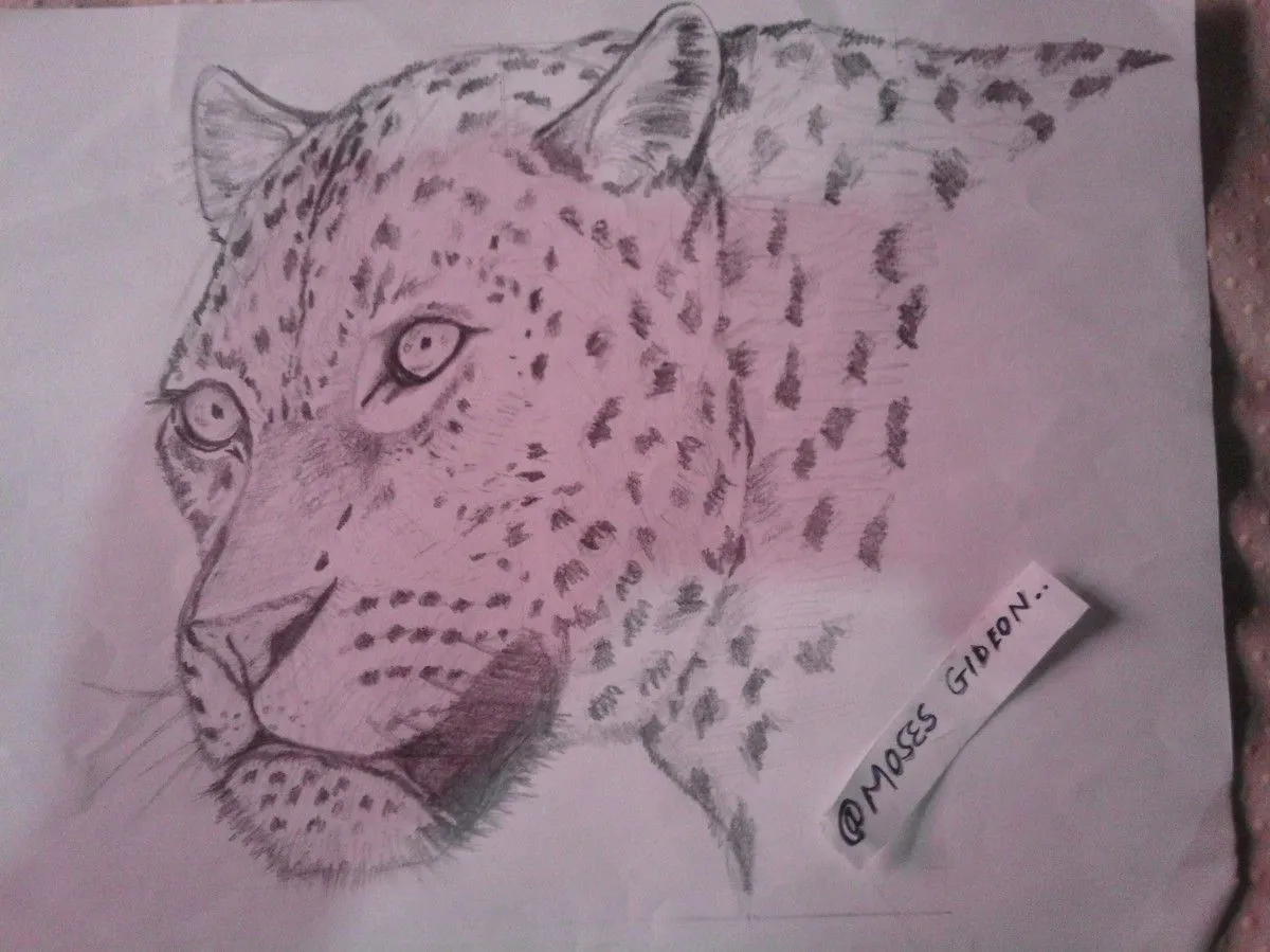 chui mnyama, artwork by gideon moses