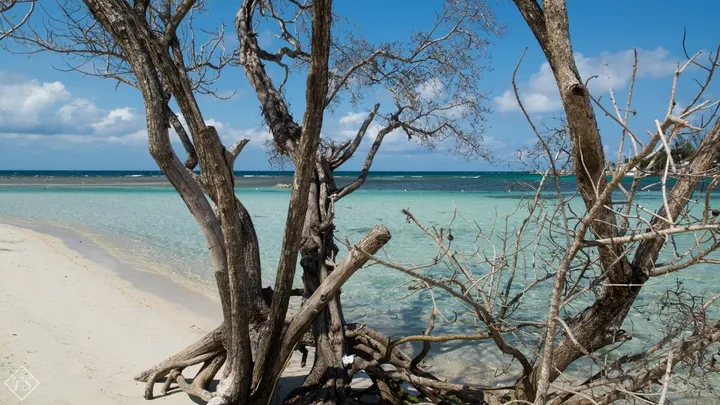 Under the Jamaican sun, œuvre de Thalja Škibola